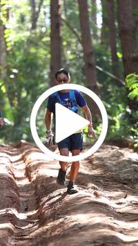 BIB:  <button type="button" onclick="openModal(26569493)" class="btn btn-primary btn-sm float-right" data-toggle="modal" data-target=".modal-high-quality">
                <i class="fa fa-download"></i> Download
                </button>